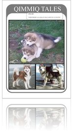 Northern Alaskan Malamute Club - April 2008 Qimmiq Tales