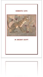 Domestic Cats in Ancient Egypt