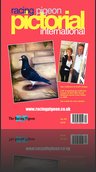 The Racing Pigeon Magazine  Subscription