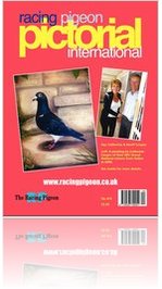 The Racing Pigeon Magazine  Subscription