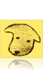 dog eared magazine's Subscription Group