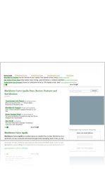 Blackberry Curve Apollo Price