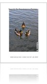 The NEXXUSS, Volume 6