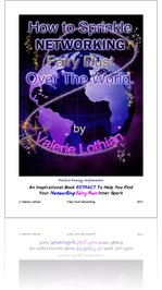 Fairy Dust Networking Mini book