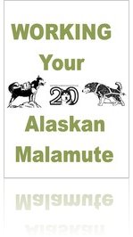 Northern Alaskan Malamute Club - Working your Alaskan Malamute