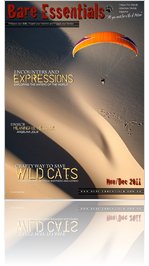 Bare Essentials Magazine Issue 22 Nov/Dec 2011