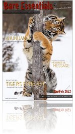 Bare Essentials Magazine Issue #23 Jan/Feb 2012