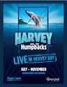 Whale Watching in Hervey Bay