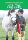 Welsh Pony